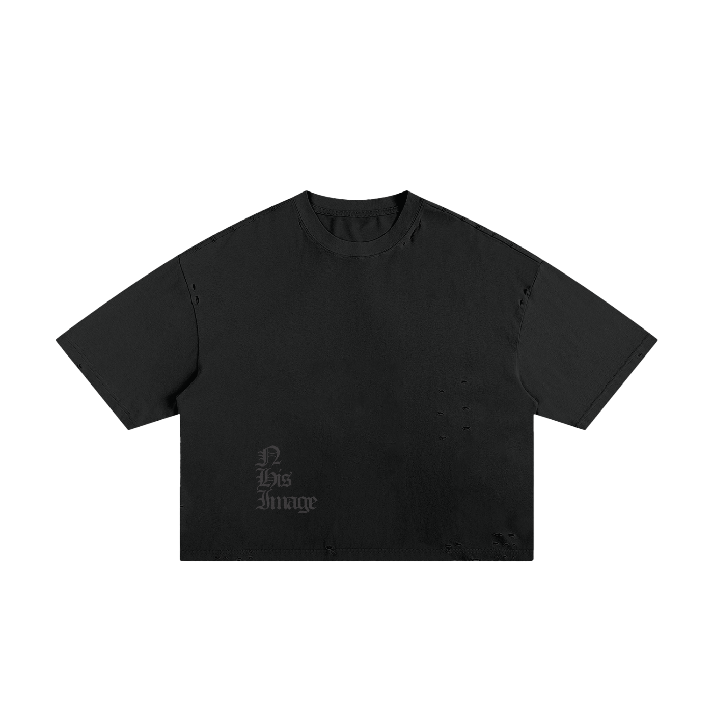 "N His Image" Holy Boxy Tee